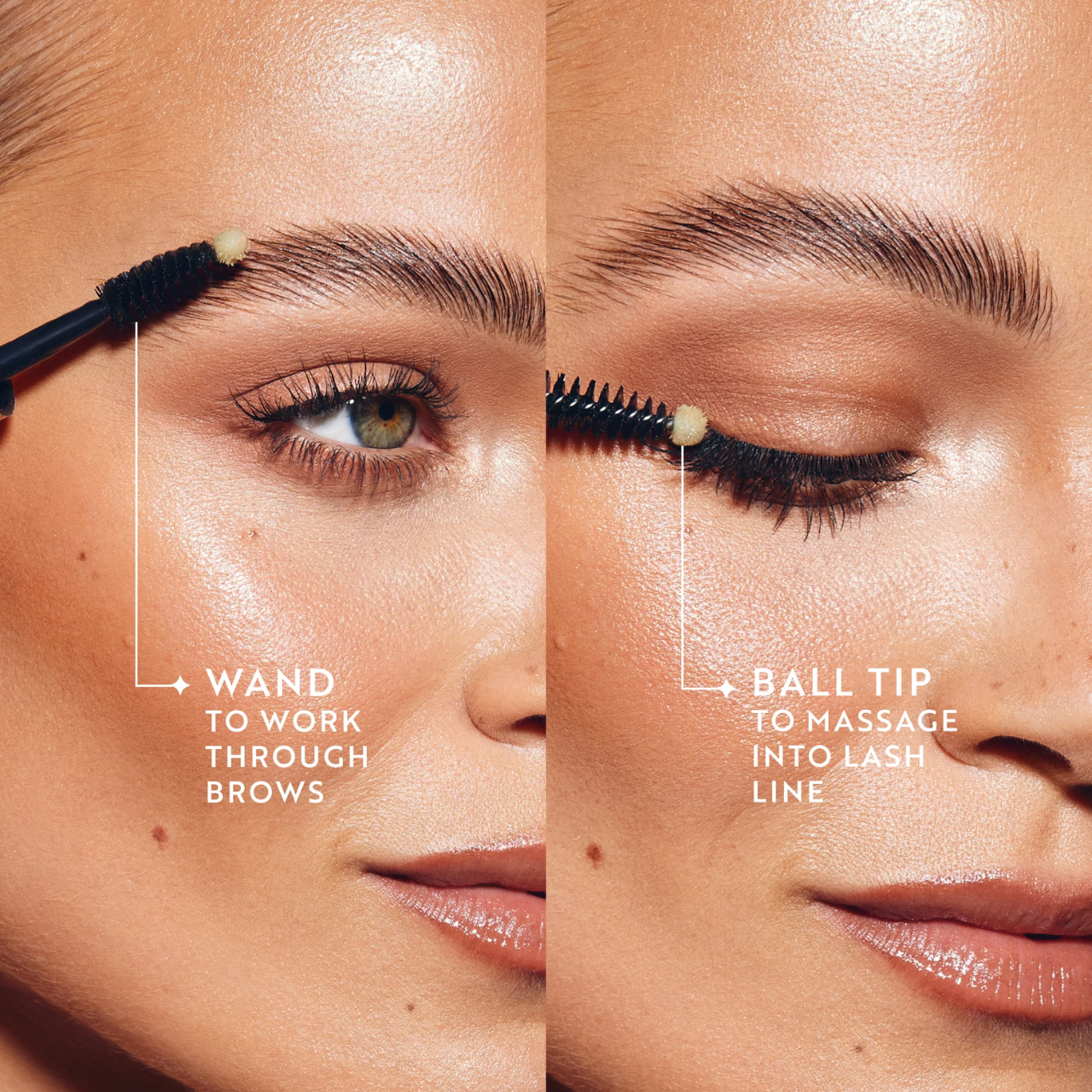 Brow Duet Set