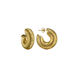 Dari Hoops Gold