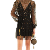 Embroidered Tulle Black Mini Dress