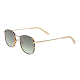 Neptune Deux Bright Gold/Tort Sunglasses