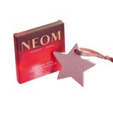 Ceramic Star Natural Diffuser