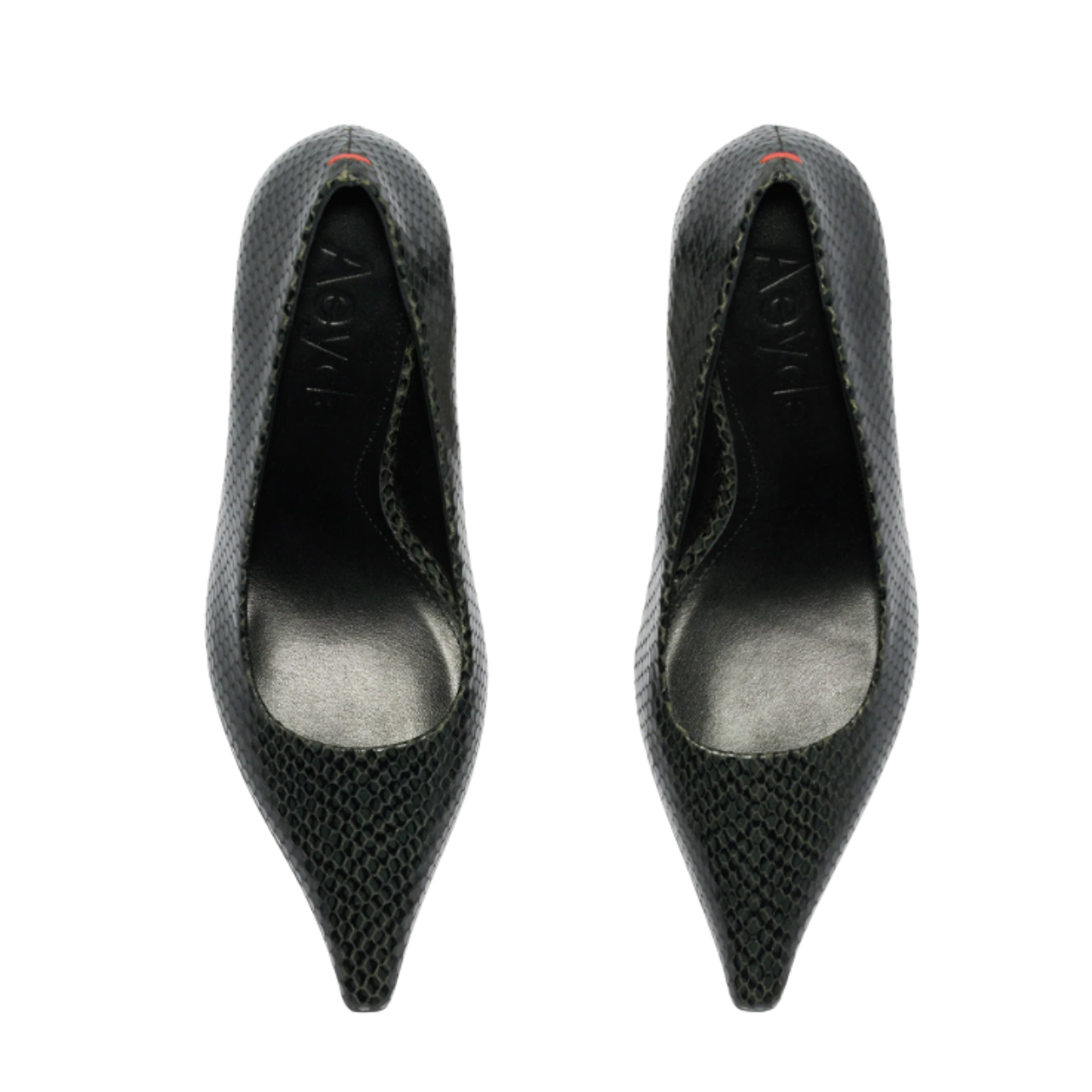 Zandra Mini Snake Moss