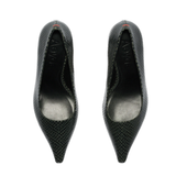 Zandra Mini Snake Moss
