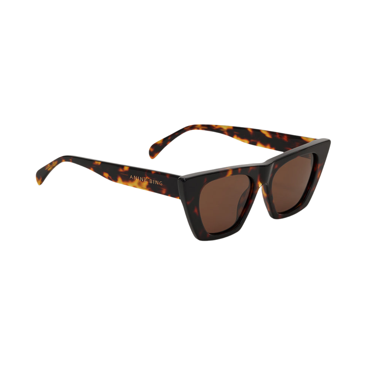 Paris Sunglasses Tortoise