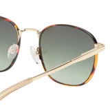 Neptune Deux Bright Gold/Tort Sunglasses
