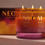 Cosy Nights 3 Wick Candle 420g