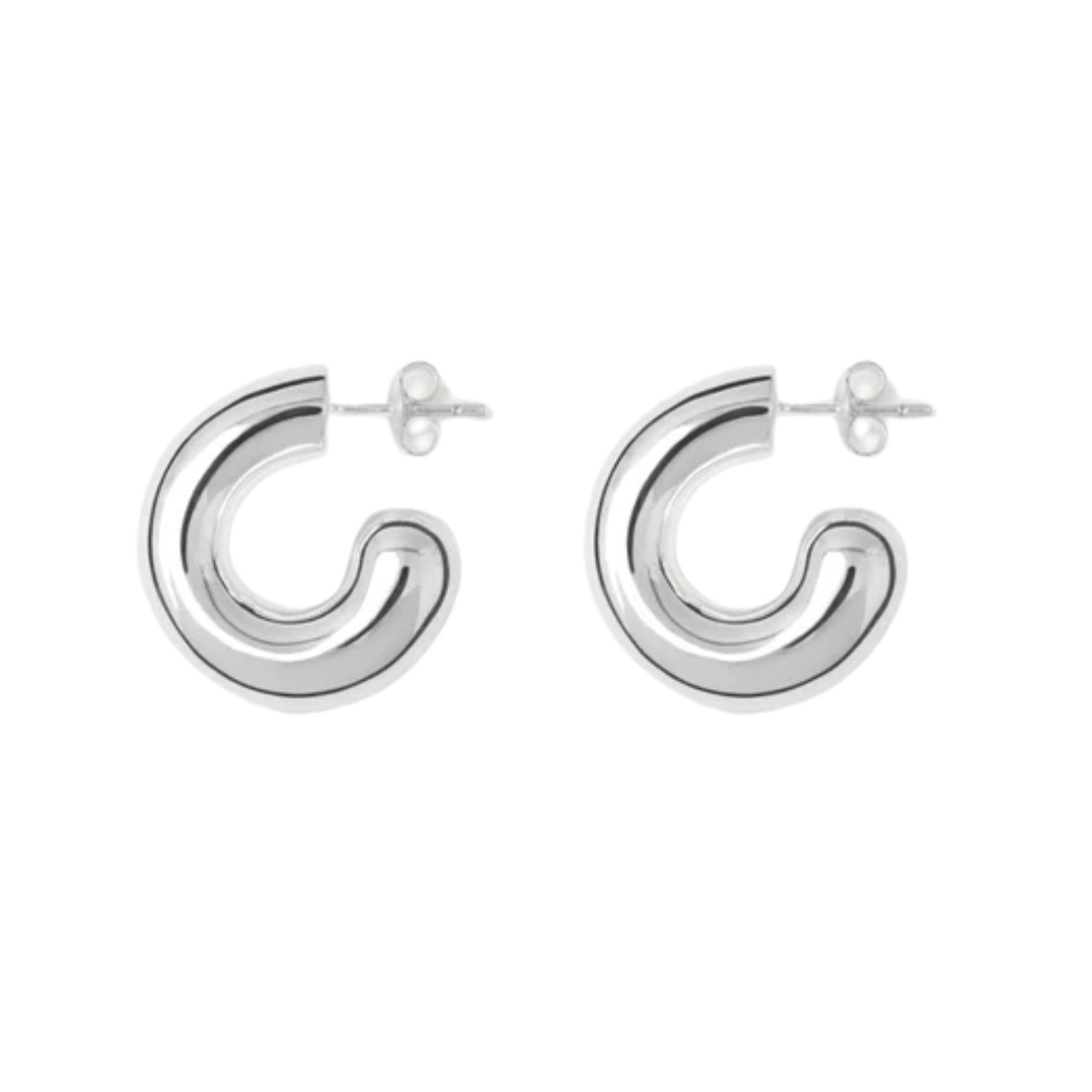 Rose Earrings Silver