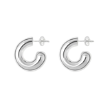 Rose Earrings Silver