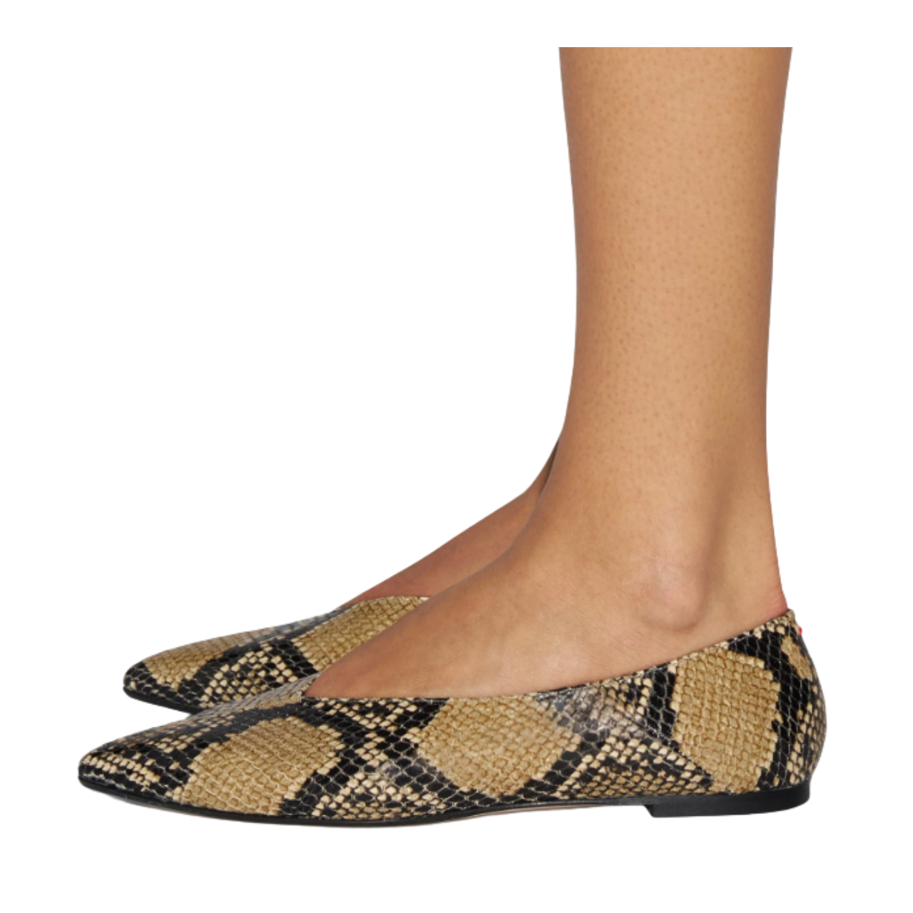 Moa Pointed Toe Flats Hazelnut