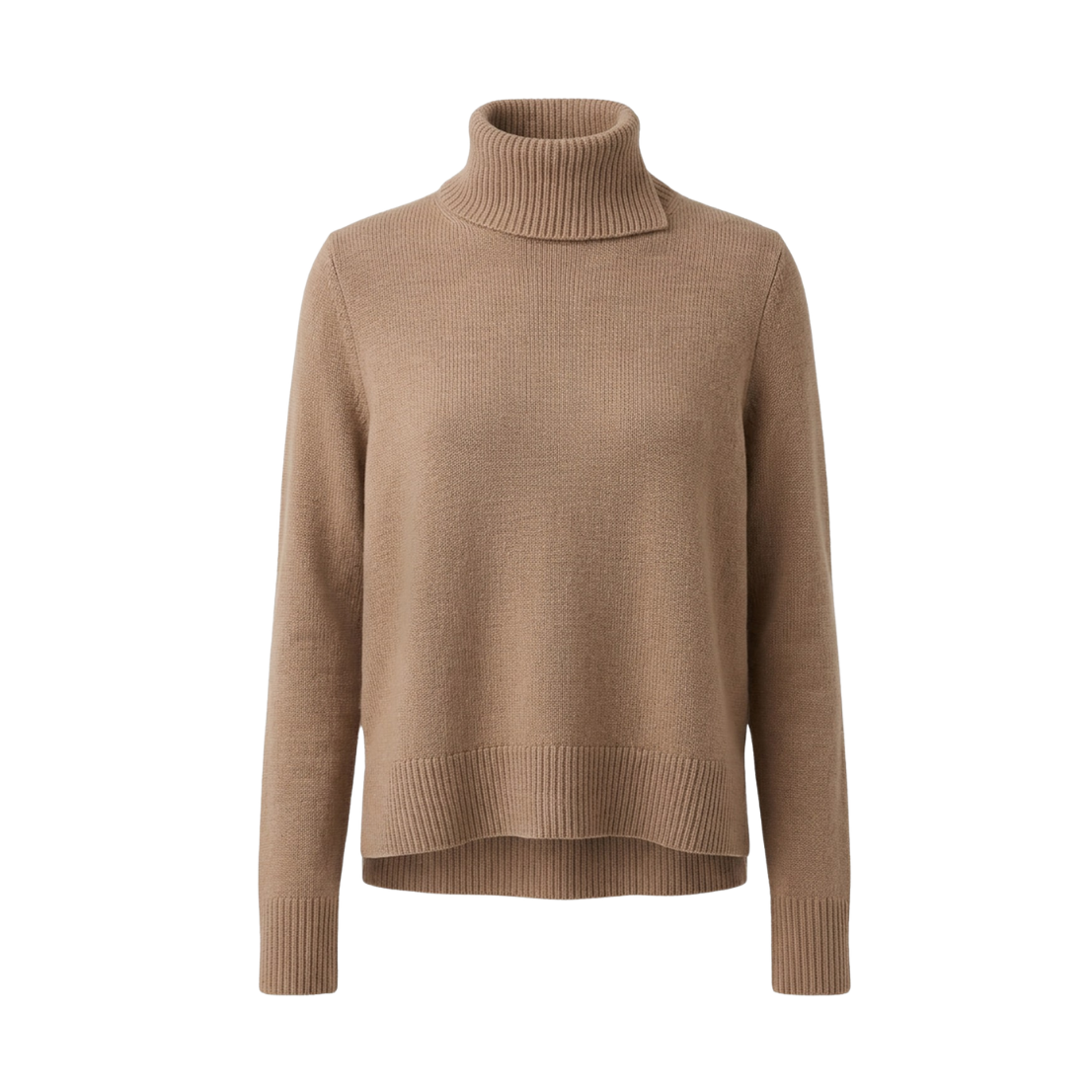 Swing Turtleneck Sweater