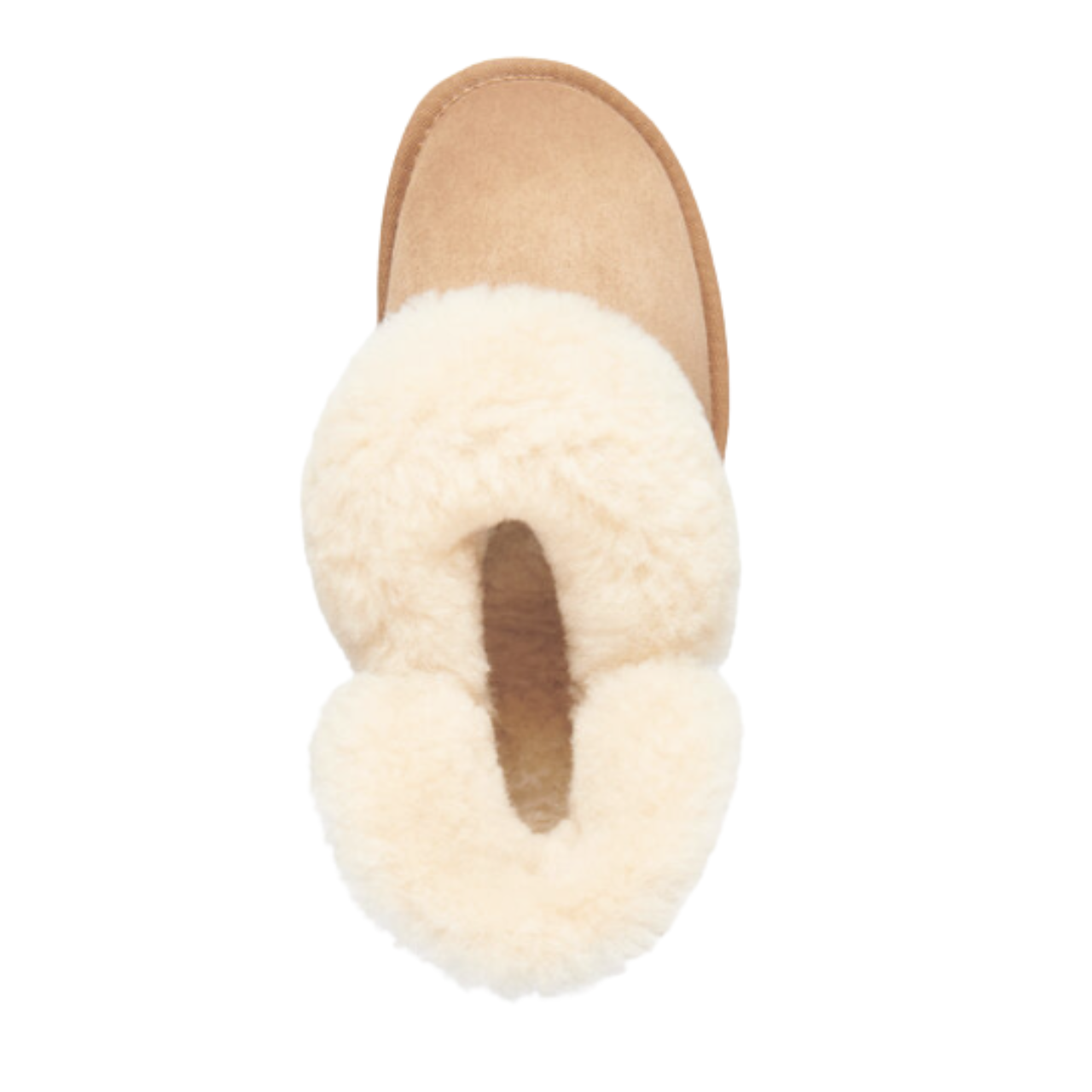 Platinum Mintaro Chestnut Slippers