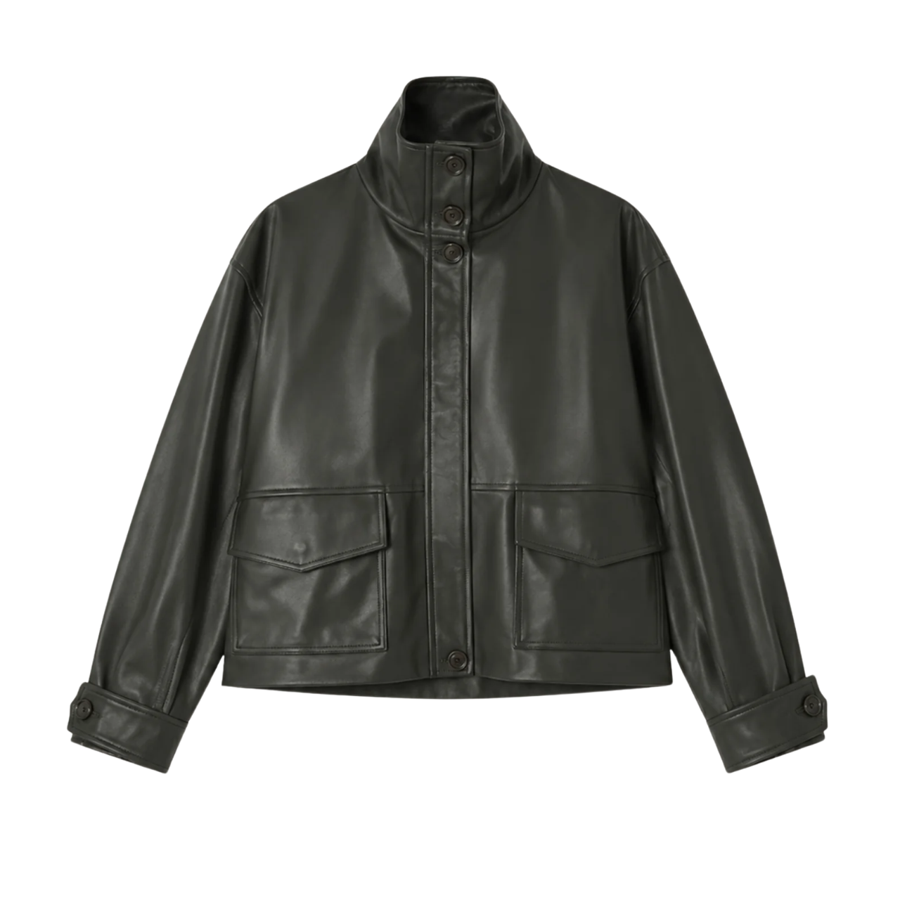 Alvann Funnel Neck Leather Jacket