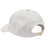 Franklin Cap Egret