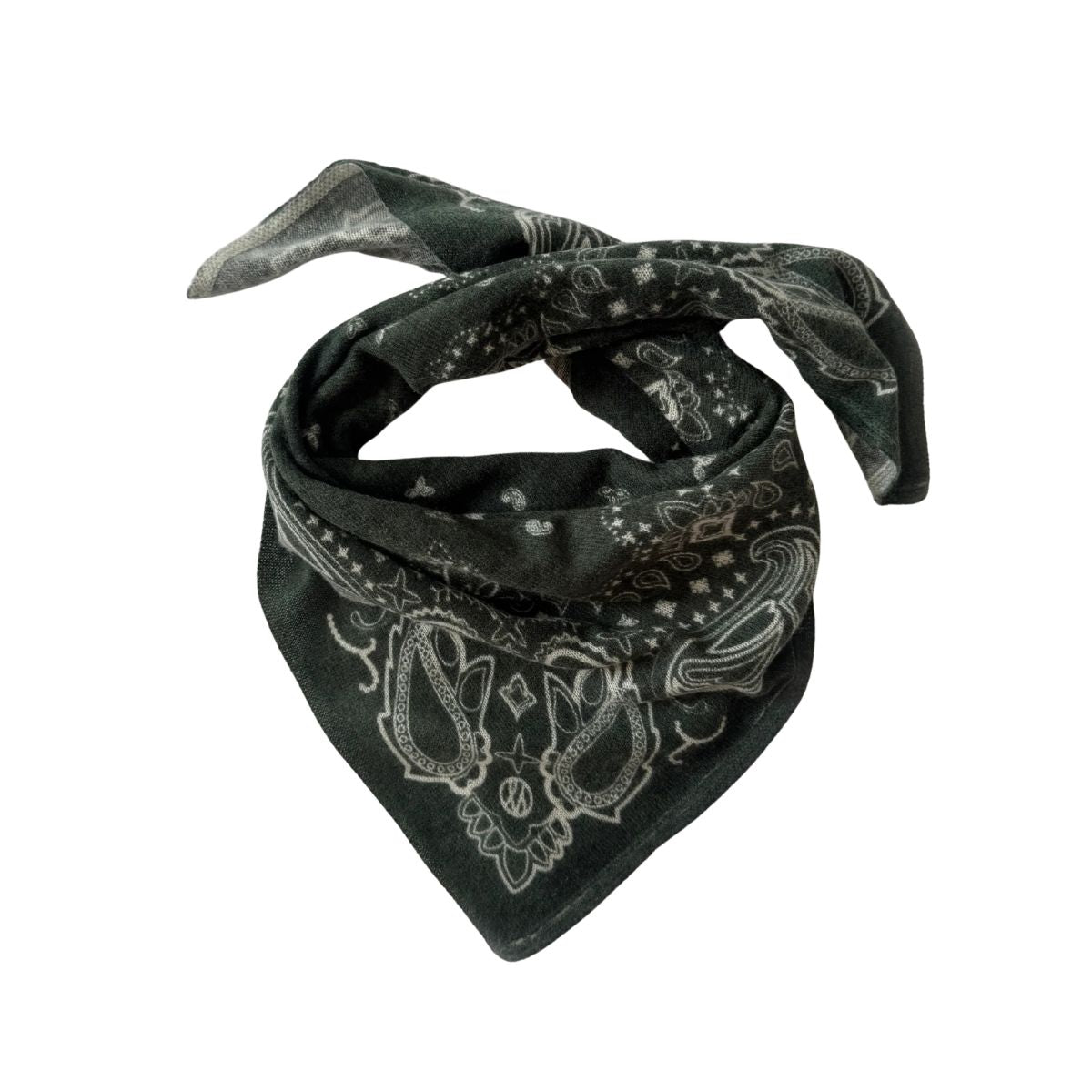 Cashmere Paisley Scarf Green