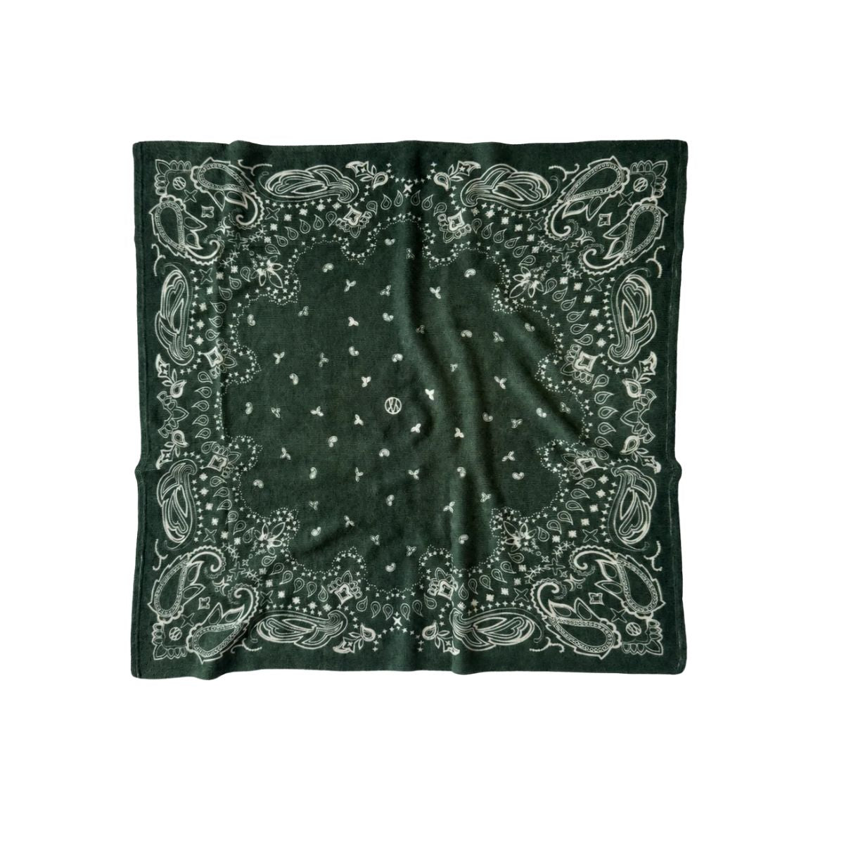Cashmere Paisley Scarf Green