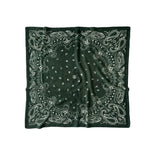 Cashmere Paisley Scarf Green