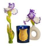 Ourika Scented Candle 270g