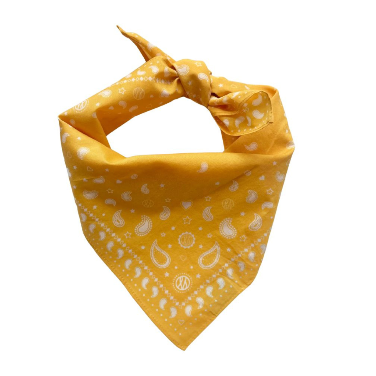 Paisley Cotton Scarf Mimosa Yellow