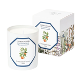 Scented Candle Orange Blossom