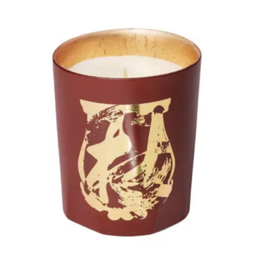 Cire Trudon Terre à Terre Candle - Thumbnail 5