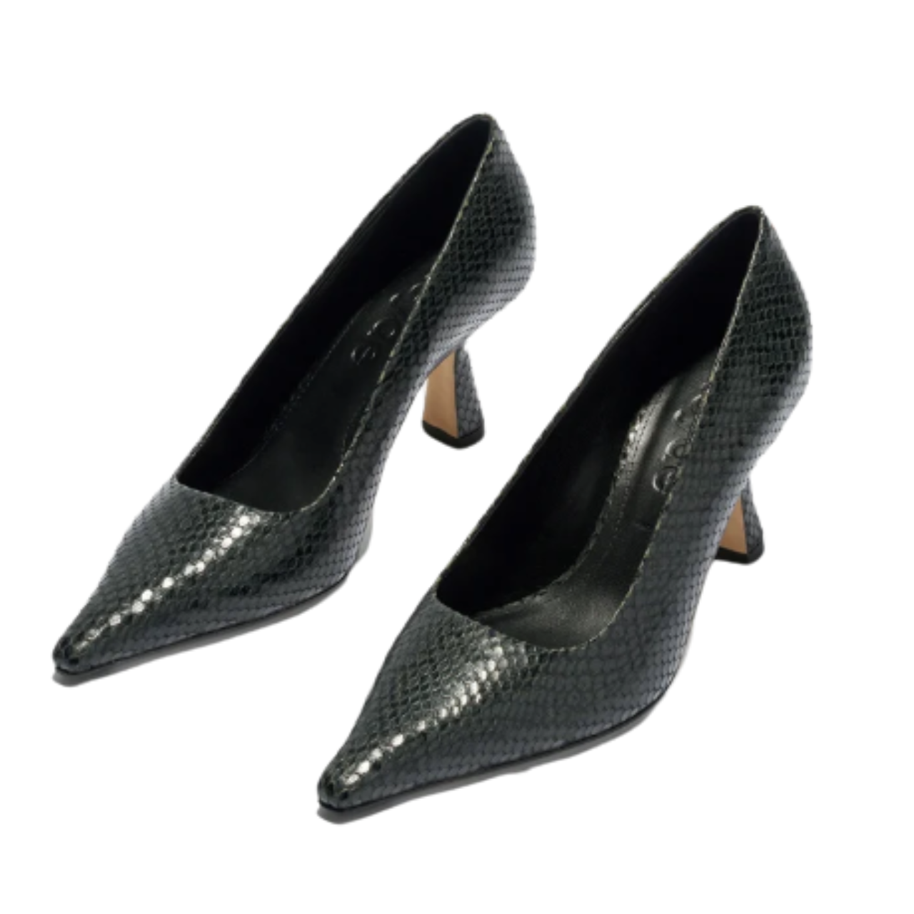 Zandra Mini Snake Moss